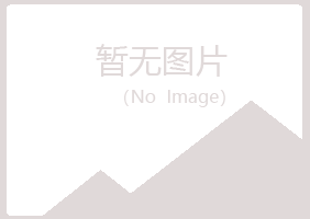 明山区冷漠会计有限公司